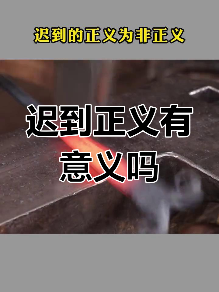 迟到的正义，就是被谋杀的正义 (图5)